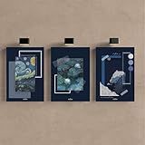 Kit 3 Quadro Moderno Placa Decorativa Luxuoso Arte Abstrata