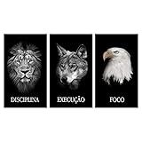 Kit 3 Quadros Decorativos Grandes Com MOLDURA Disciplina Execução E Foco Animais