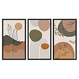 Kit 3 Quadros Decorativos Grandes Com MOLDURA Orgânico Floral Moderno Formas