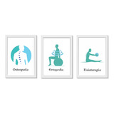 Kit 3 Quadros Decorativos Osteopatia Ortopedia Fisioterapia