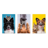 Kit 3 Quadros Decorativos Pet Shop Cachorro Gato Placas 0029