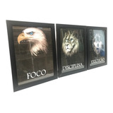 40x30