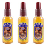 Kit 3 Spray Coala Aromatizante Ambiente Cravo E Canela 120ml