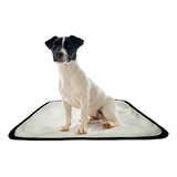 Kit 3 Tapetinho Higienico Lavável Cachorro Xixi Caes 60x50 P