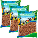 Kit 3 Unidades De Tenébrio Comum Desidratado Pequeno 200g