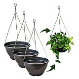 Kit 3 Vaso-cuia Suspenso Para Samambaia E Planta Pendente - Cabo De Aço