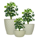 Kit 3 Vaso De Planta Decoração Coluna Bojo Bacia Prato Mesa
