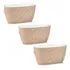 Kit 3 Vasos De Flor Plantas Cachepot 3d Floreira De Mesa Plá
