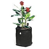 Kit 3 Vasos P Plantas Feltro Com Alças 15 Litros King Pot Preto 