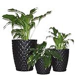 Kit 3 Vasos Planta Decorativo Jardim Coluna Diamante 0 1 E 2 Cor Preto