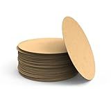 Kit 30 Disco Placa Redonda MDF Cru 3 Mm 20 Cm Artesanato