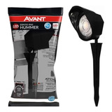 Avant