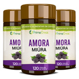 Ervas