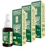 Kit 3X Extrato De Própolis Verde 30ml - Apis Flora