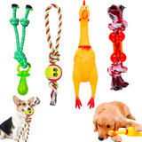 Kit 4 Brinquedos Para Cães Mordedores Pet Seguro Durável