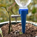 Planta