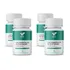 Kit 4 Lactobacillus Acidophilus 1 Bilhão De Ufc 60 Cápsulas