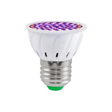Leds