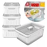 Kit 4 Organizadores Geladeira Armário Cozinha 2 2 Litros Alimentos Vegetais Caixa Plástica Para Legumes Saladas 2 2 LITROS 