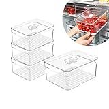 Kit 4 Organizadores Geladeira Armário Cozinha 2 2 Litros Alimentos Vegetais Caixa Plástica Para Legumes Saladas