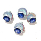 Kit 4 Parafusos Emblema Azul Para Fixar Placa Veiculo Ford