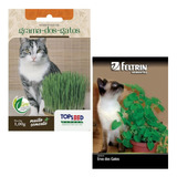 Kit 4 Sementes 2 Erva Dos Gatos E 2 Grama Dos Gatos