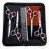 Kit 4 Tesouras Pet Inox Profissional Para Tosa   Pente De Aço E Estojo Corte Preciso  Durabilidade E Conforto Para Cães E Gatos Marca Lorben