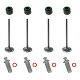 Kit 4 Válvula Admissão Escape Cb 300 Twister Com Retentor