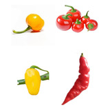 Kit 4 Variedades Pimentas Caipiras Cheirosas 120 Sementes