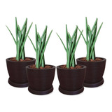Kit 4 Vasos De Planta 30x30 Pratos Redondos Polietileno
