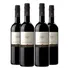Kit 4 Vinhos Espanhol Fernando Castilla Jerez Branco 750ml