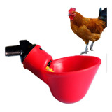 Plástico