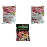 Kit 4kg Substrato Rosas Do Deserto 1kg Fertilizante Completo