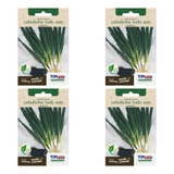 Topseed
