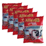 Kit 5 Allium 1kg