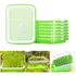 Kit 5 Bandejas Para Microverde Dupla Camada Germinação Broto