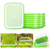 Kit 5 Bandejas Para Microverde Dupla Camada Germinação Broto