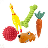 Kit 5 Brinquedos Cachorro Cão Gato Pet Resistente Interativo