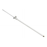 29cm