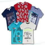 Kit 5 Camiseta Infantil Verão Menino