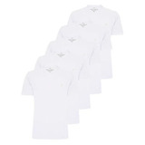 Kit 5 Camisetas Masc  Básicas Polo Wear 5 Cores Promoção