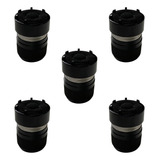 Kit 5 Capsula P