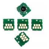 Kit 5 Chip Caixa Manutenção Epson F570 F571 T3170 T5170 T217