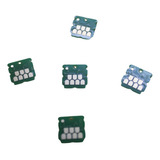 Kit 5 Chip Caixa Tanque C9344 L5590 Xp2100 Xp 3100 Wf 2810