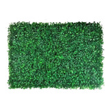 Kit 5 Jardim Vertical Placa Buchinho Buxinho Cheia Verde