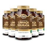 Kit 5 Óleo De Semente De Linhaça Dourada Unilife 1000mg 120 Cápsulas