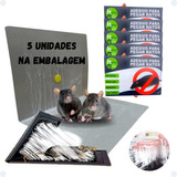 Kit 5 Ratoeira Adesiva Pega Super Cola Rato Armadilha 5 Uni