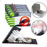 Kit 5 Ratoeira Super Cola Pega Ratos Armadilha Premium Origi