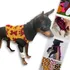 Kit 5 Roupa Roupinha Cachorro Pinscher Filhote Micro E Mini