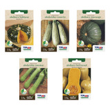 Kit 5 Semente Abóboras Minha Horta Para Muda Alta Germinação